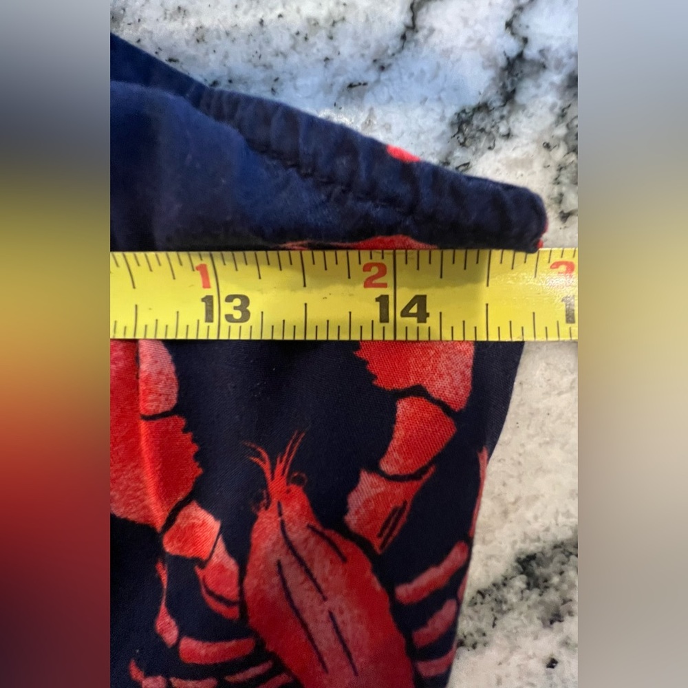 Navy & Red 🦞 Lobster Sundress with Red Lobster Print - Picture 6 of 6